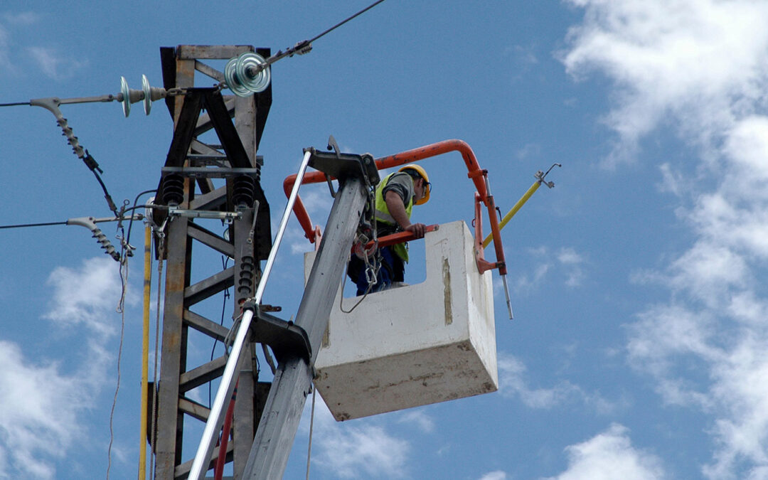 Control de Normas de Calidad y Seguridad