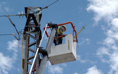 Control de Normas de Calidad y Seguridad